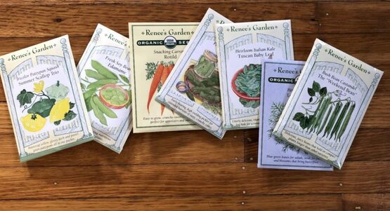 Seed packets