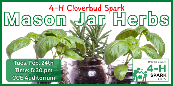 Cloverbuds will learn how seasonings make a difference in the food they eat. They'll get to try and make comparisons between foods with seasonings and those without. We'll also talk about drying herbs to use later. Bring your own clean jars (doesn’t have to be a Mason jar,) and we’ll finish off the program starting our own mason jar herb gardens.

Who: Broome County 4-H Members, ages 5-7*

*4-H'ers of all ages are most welcome to attend. If the program fills beyond capacity, we will give priority placements to the Cloverbuds first.

When: Tuesday, February 24th

Time: 5:30pm-6:30pm

Where: CCE Auditorium