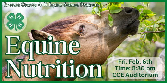 You don't need to own a horse to join our horse program! This group is open to all youth interested in learning more about horses through hands-on activities and friendly competitions. We plan to meet about twice a month for study sessions or field trips, covering a variety of topics in equine science. The program is designed to prepare and motivate members for optional participation in 4-H Hippology, Horse Bowl, and Horse Judging competitions.​
​
​Participants will learn the basics of equine nutrition, with an overview of key vitamins and minerals, common feeds, and plant identification. The class concludes with a practical session creating nutritious horse treats.

Who: All Broome County 4-H Members

When: Friday, February 6, 2026

Time: 5:30pm-7:30pm

Where: CCE Auditorium