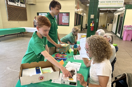 Project judging at the youth fair