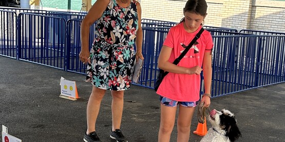 Youth showing a dog.