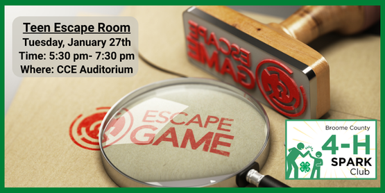 ​Our teens will be challenged to work together to crack codes, solve puzzles, and other themed escape room missions before the time runs out.

