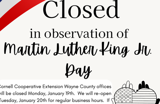 CLOSED for MLK Jr. Day