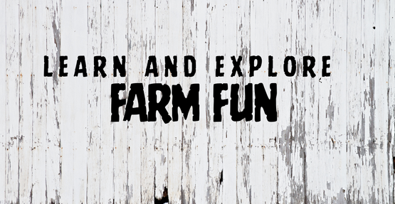 Farm fun graphic