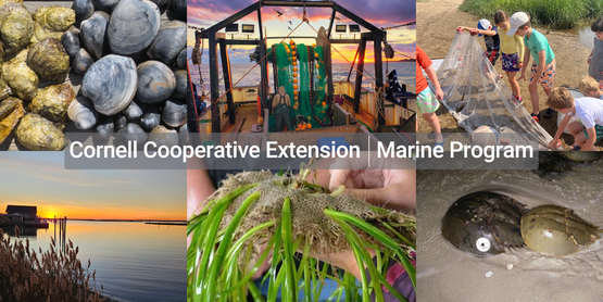 CCE Marine FB Cover Photo 2Kx1K