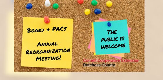 ReOrg Meeting Header