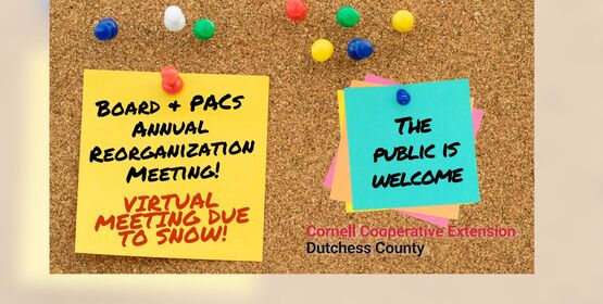 Annual Reorg Meeting SNOW 2026