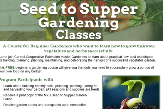 A three-part series held on Saturdays for beginner gardeners who want to learn to grow their own vegetables and herbs successfully.  FREE.  Call or email to register to secure your spot.  