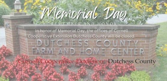 banner memorial day
