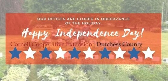 Independence Day banner