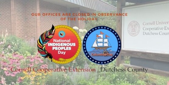 Indigenous People Day/Columbus Day