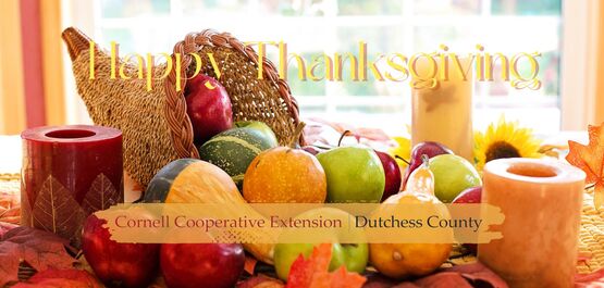 CCEDC Thanksgiving 2023
