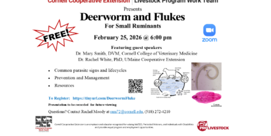 flukes and deerworms