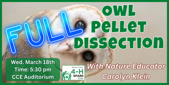 4-H Spark Program: Owl Pellet Dissection

with Nature Educator Carolyn Klein



Join nature educator, Carolyn Klein, for a hands-on exploration into the fascinating world of barn owls. In this interactive class, participants will dissect real barn owl pellets to uncover the bones and remains of the owl’s prey. 

Who: All Broome County 4-H members

When: Wednesday, March 18, 2026

Time: 5:30pm- 7:00pm

Where: CCE Auditorium