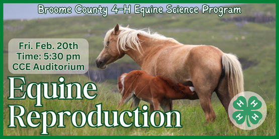 ​You don't need to own a horse to join our horse program! This group is open to all youth interested in learning more about horses through hands-on activities and friendly competitions. We plan to meet about twice a month for study sessions or field trips, covering a variety of topics in equine science. The program is designed to prepare and motivate members for optional participation in 4-H Hippology, Horse Bowl, and Horse Judging competitions.

Designed for 4-H members, this program explores the basics of equine reproduction with a focus on simple genetics, key terms, reproductive anatomy, and understanding the stages of labor and foaling.

Who: All Broome County 4-H Members

When: Friday, February 20, 2026

Time: 5:30pm

Where: CCE Auditorium