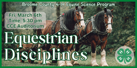 You don't need to own a horse to join our horse program! This group is open to all youth interested in learning more about horses through hands-on activities and friendly competitions. We plan to meet about twice a month for study sessions or field trips, covering a variety of topics in equine science. The program is designed to prepare and motivate members for optional participation in 4-H Hippology, Horse Bowl, and Horse Judging competitions.

There are endless ways that we interact with our horses. We’ll cover some of the major categories within the English, western, rodeo, and driving disciplines. Participants will learn key terms, basic rules, and what makes each discipline unique, with an emphasis on the information they’re likely to see in competitions.

Who: Broome County 4-H Members

When: Friday, March 6, 2026

Time: 5:30pm

Where: CCE Auditorium