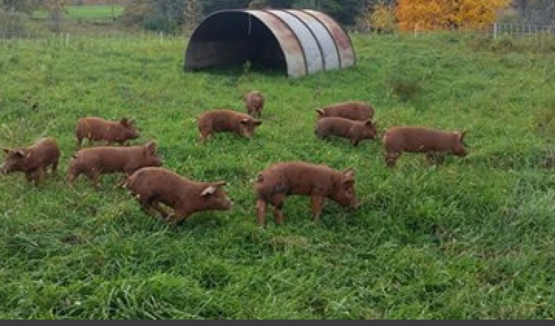 Women in Ag - July 5