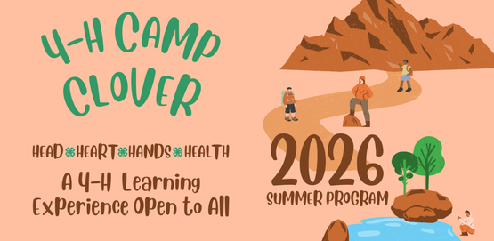 Camp clover