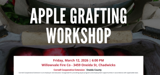 Apple Grafting Workshop