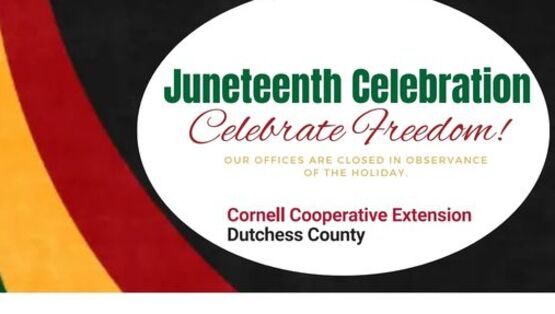 Juneteenth 2026