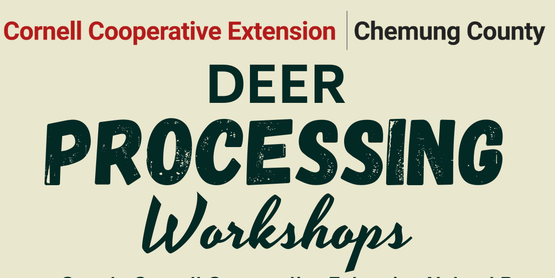 Deer Processing Workshop - 2026