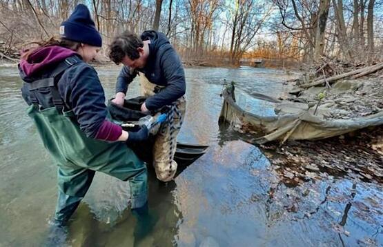 Two people are working on the Eel project