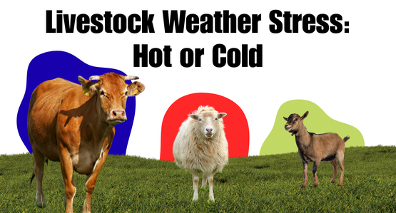 BANNER Livestock Stress
