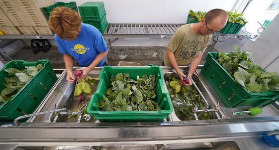 postharvest workshop header