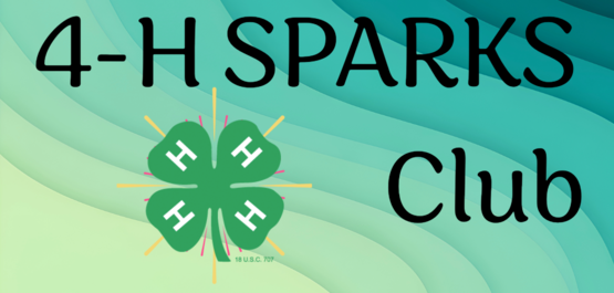 4h sparks club