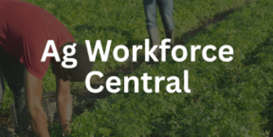 Finding the right employees to work on your farm can pose many challenges but hiring the wrong person can be costly.