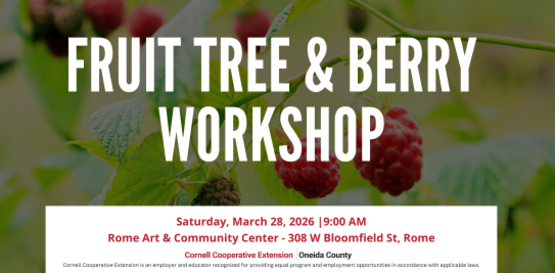 Fruit Tree Berry Workshop