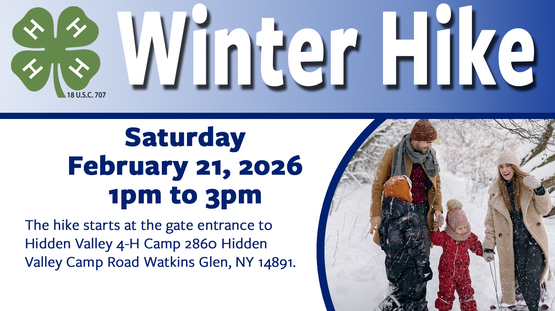 Winter Hike Website Banner