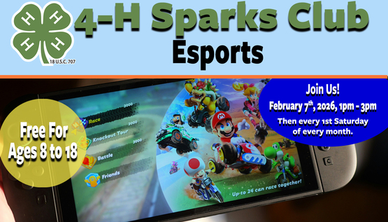 Esports Web Banner