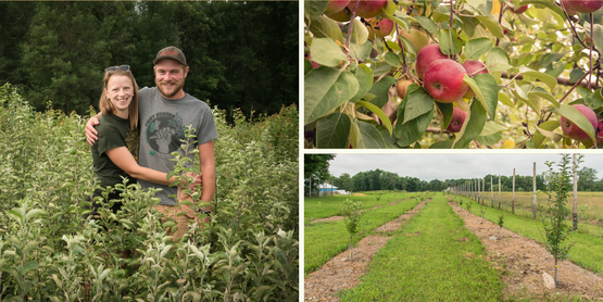 People in a nursery, alongside apples and an orchard of young apple trees