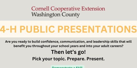 public presentations