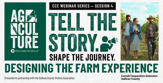 Final Banner Class 4