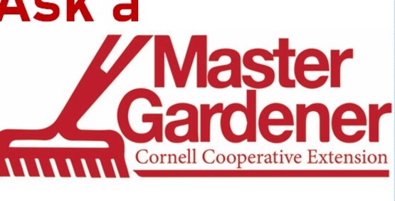 Ask A Master Gardener