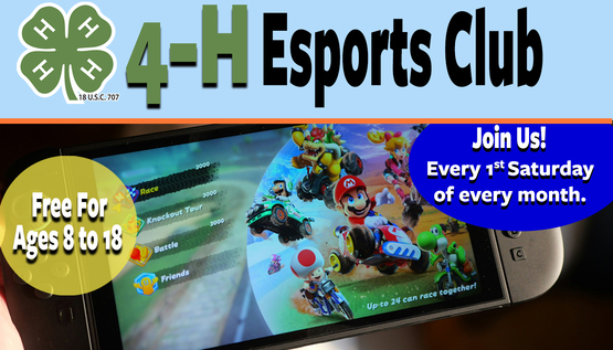 4-H Esports Club Banner