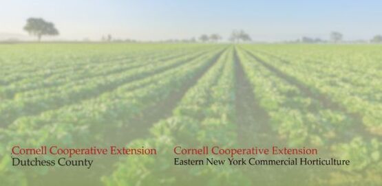 CCEDC Generic Event Ag/Hort Event Header