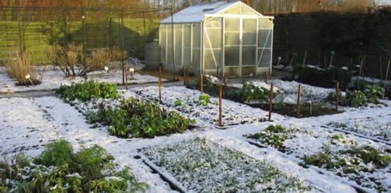 winter garden