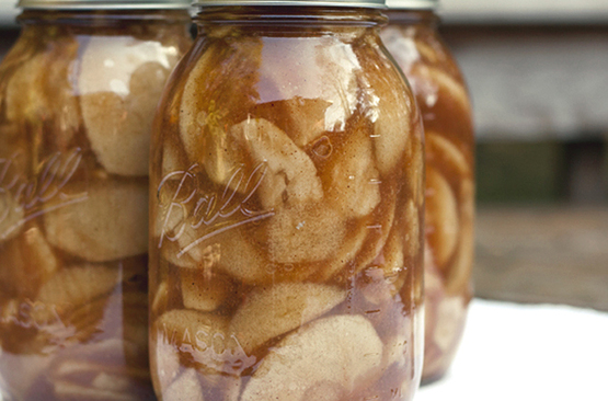 Apple Preservation