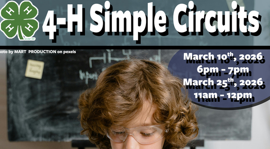 4-H Simple Circuits Banner