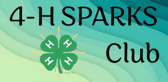 4h sparks club