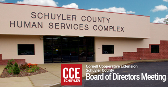 board human services complex pic