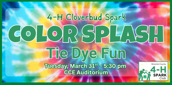 Cloverbuds should prepare for a messy colorful adventure as we tie dye. Cloverbuds will be guided through tie-dye techniques-- learning how to create a variety of colorful outcomes and patterns. Each participant will have the opportunity to express their unique style by choosing colors and applying their chosen tie-dye techniques to an item they bring in.

Who: Broome County 4-H Members, ages 5-7

(Note: 4-H members of all ages are welcome to sign up for this program. In the event that enrollment exceeds capacity, priority will be extended to Cloverbud participants.)

When: Tuesday, March 31st, 2026

Time: 5:30pm- 7:00pm

Where: CCE Auditorium