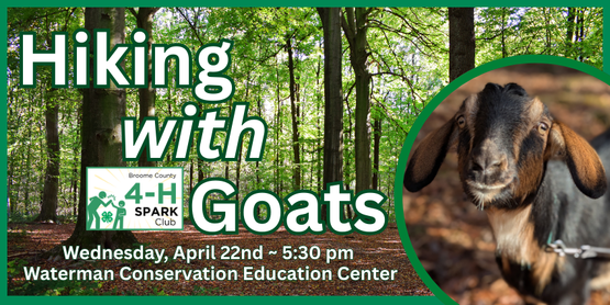 The Broome County 4-H Spark Club is partnering with the Nature Nomads 4-H Club for a special outdoor experience at the Waterman Conservation Education Center. 4-H'ers will have the unique opportunity to go on a guided nature hike accompanied by pack goats! As they hike, participants will learn about the benefits of goats as pack animals and in managing invasive species.​



Who: All Broome County 4-H Members

When: Wednesday, April 22, 2026

Time: 5:30 pm

Where: Waterman Conservation Education Center

403 Hilton Road, Apalachin, NY 13732