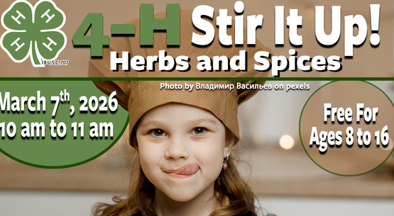 4-H Stir It Up Banner
