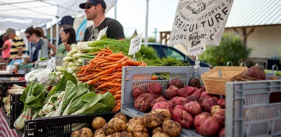 CSA farm stand, tent with vendor and boxes of fresh vegetables