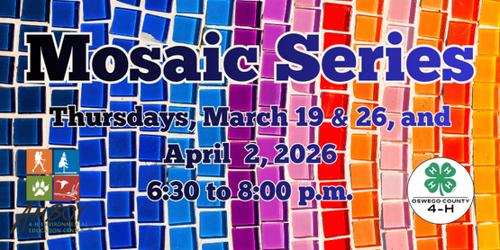 Mosaic Series