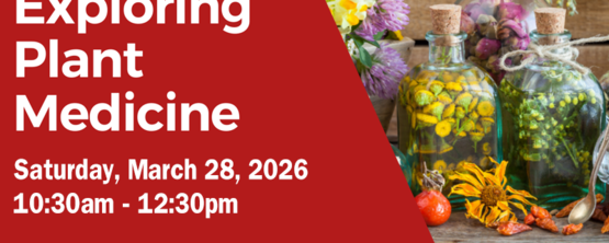 Exploring Plant Meds